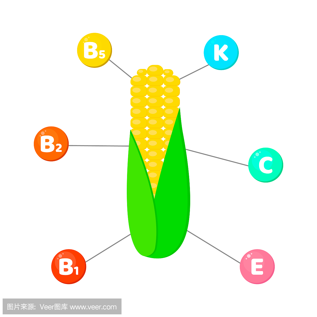 信息图。蔬菜中含有的维生素。微量元素在有色的圆圈。玉米