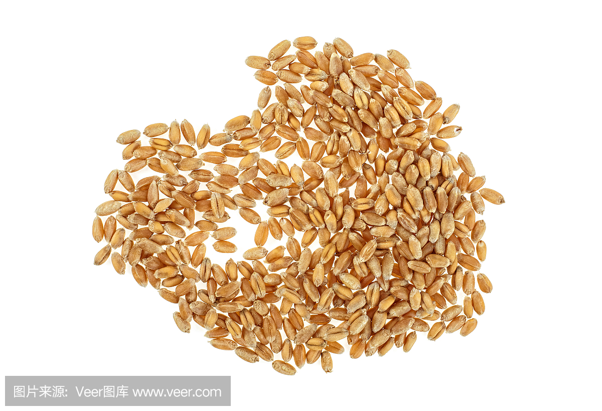 小麦粒孤立在白色背景,俯视图。